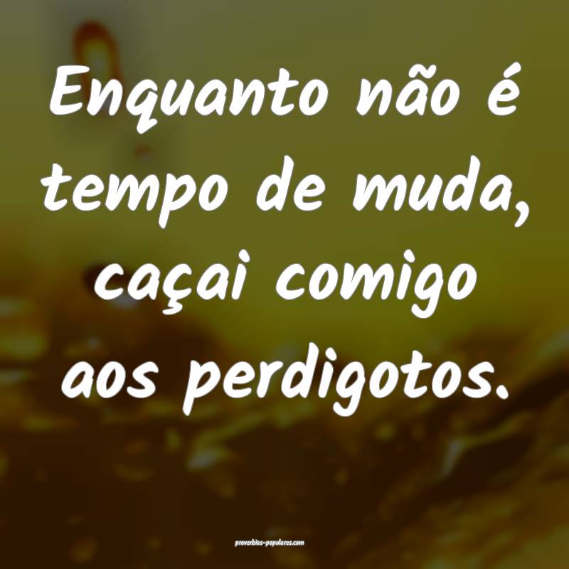 Enquanto não é tempo de muda, caçai comigo aos perdigotos.
...