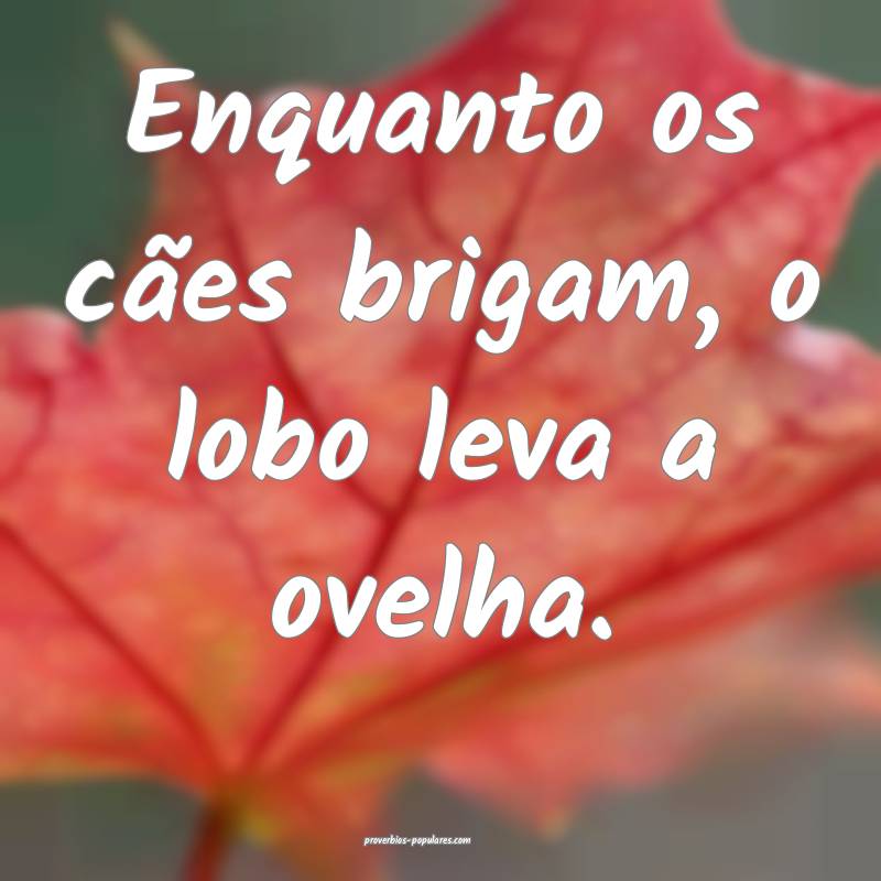 Enquanto os cães brigam, o lobo leva a ovelha.
...