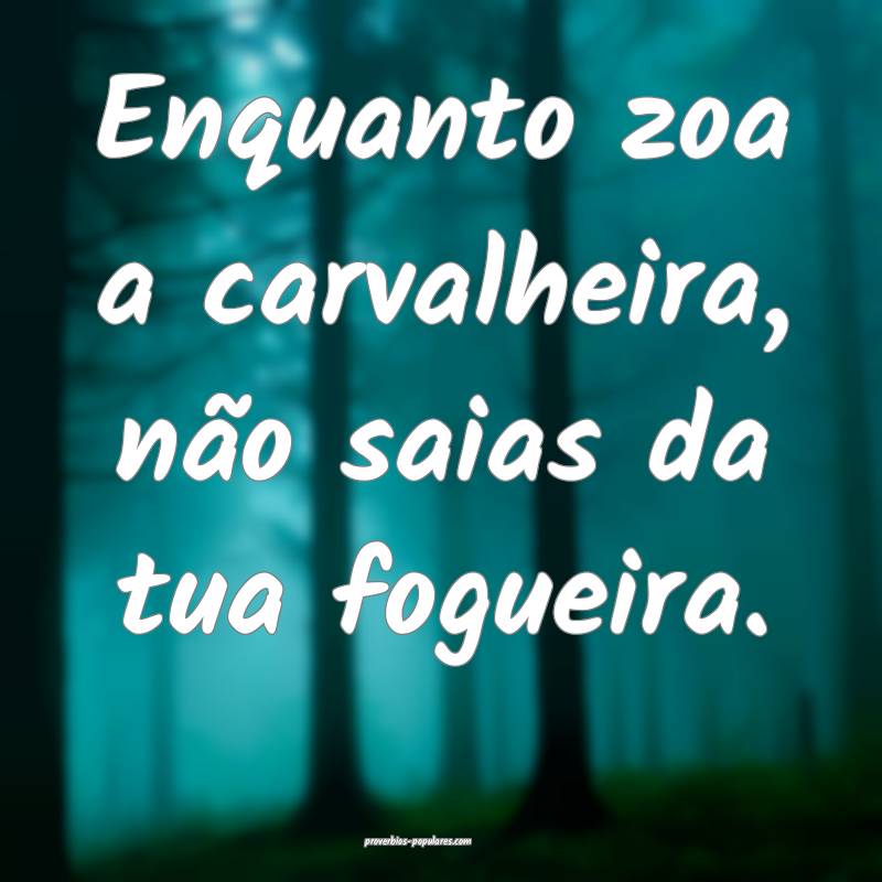 Enquanto zoa a carvalheira, não saias da tua fogu ...