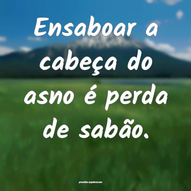 Ensaboar a cabeça do asno é perda de sabão.
...