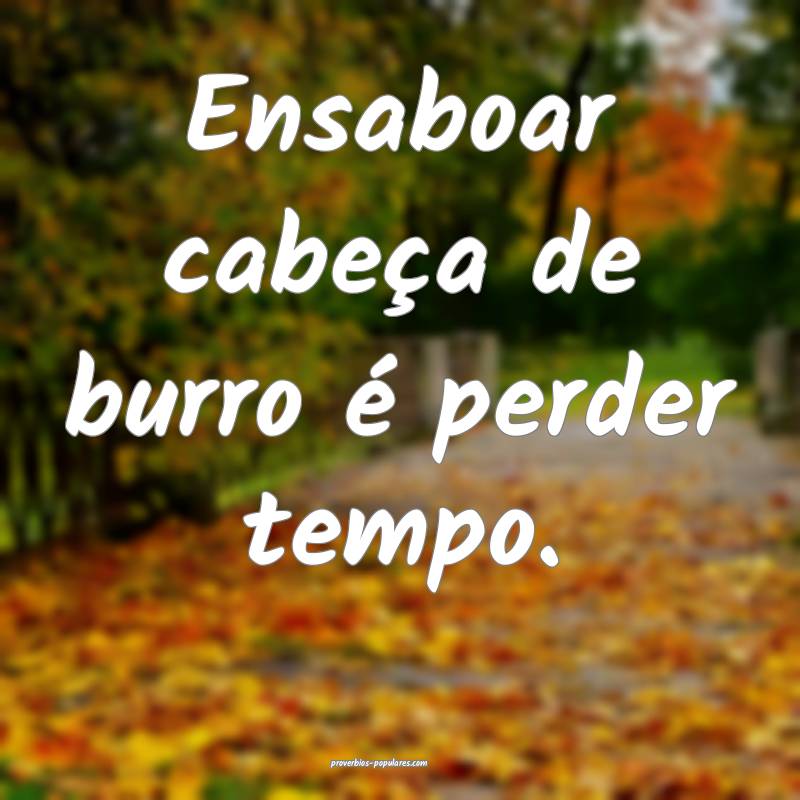 Ensaboar cabeça de burro é perder tempo.
 ...