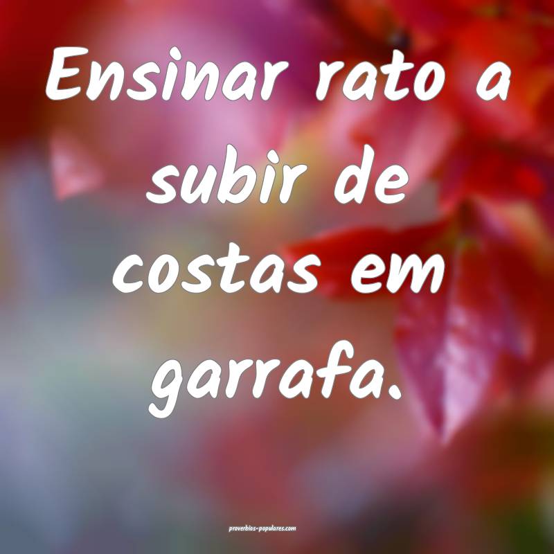 Ensinar rato a subir de costas em garrafa.
...