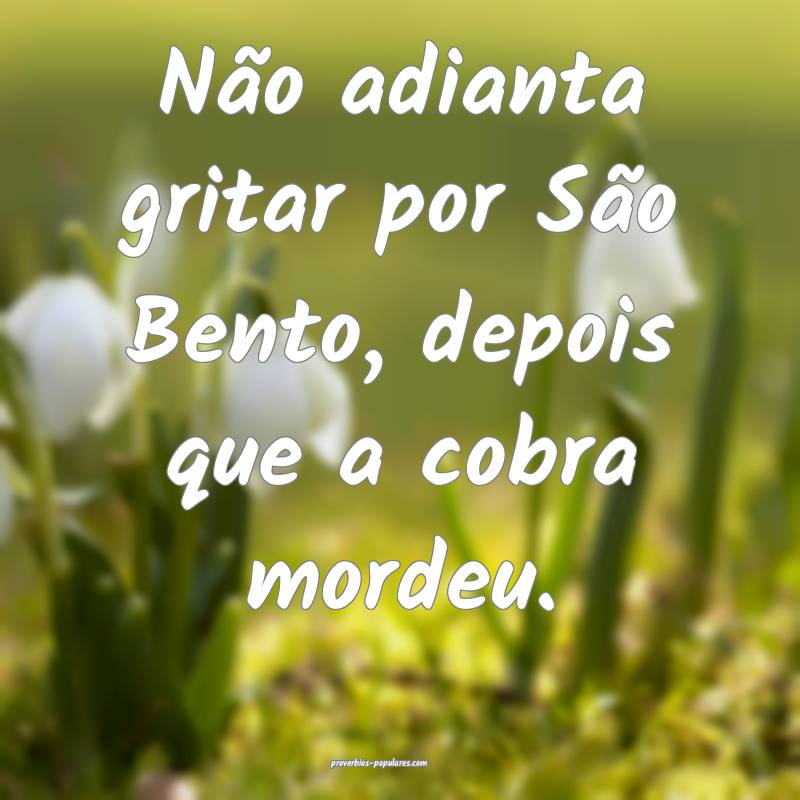 Não adianta gritar por São Bento, depois que a cobra mordeu. 
...