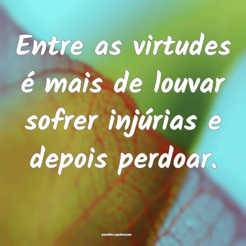 Entre as virtudes é mais de louvar sofrer injúrias e depois perdoar....