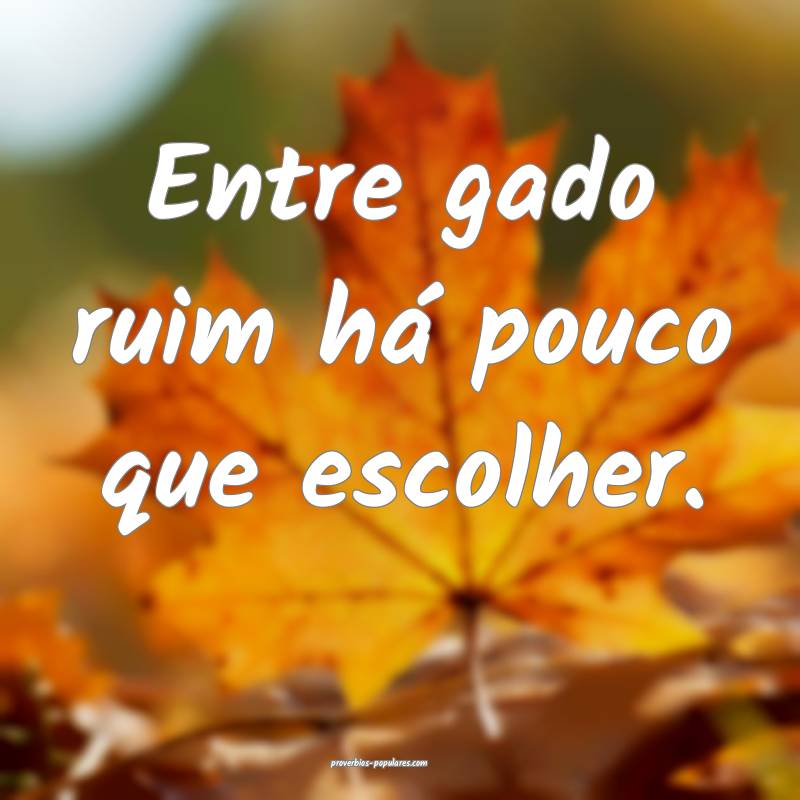 Entre gado ruim há pouco que escolher.
...