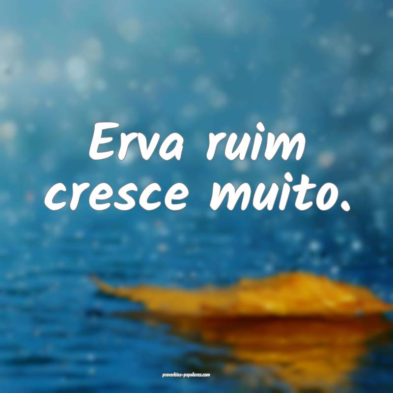 Erva ruim cresce muito.
...