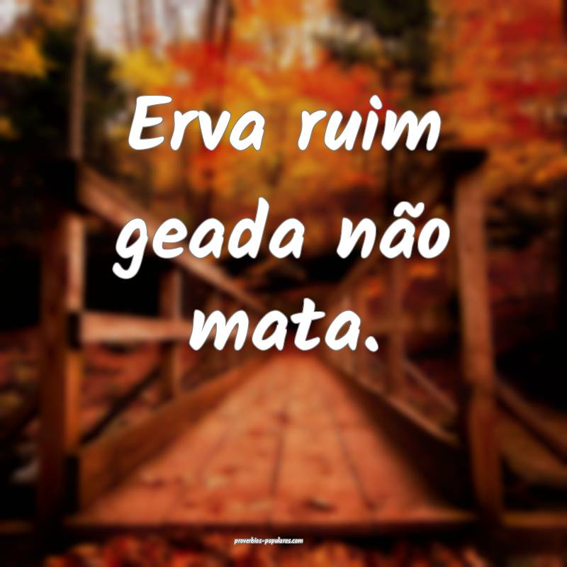 Erva ruim geada não mata.
...