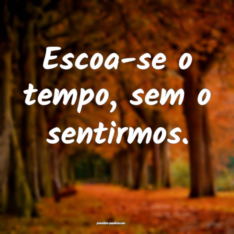 Escoa-se o tempo, sem o sentirmos.
 ...