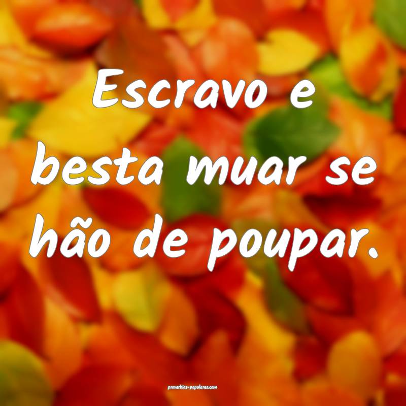 Escravo e besta muar se hão de poupar.
 ...