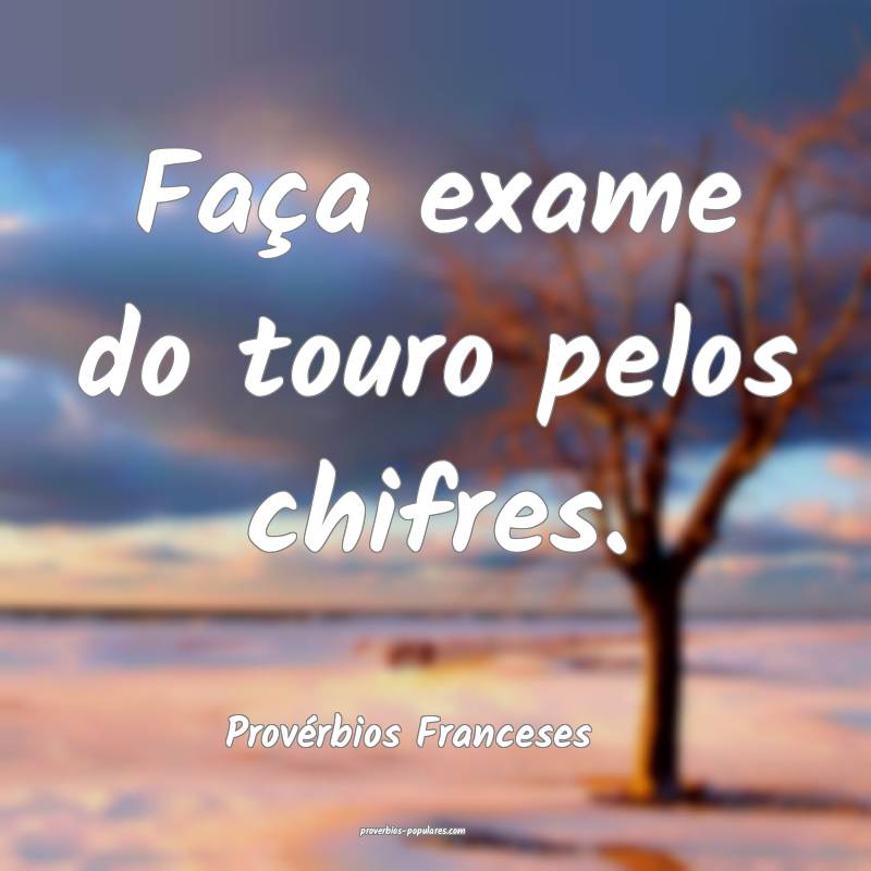 Faça exame do touro pelos chifres.
...