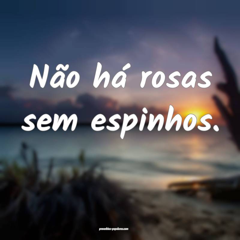 Não há rosas sem espinhos. 
 ...