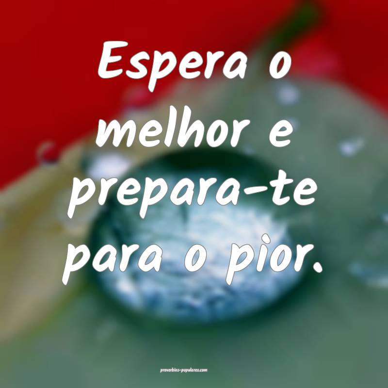 Espera o melhor e prepara-te para o pior.
...