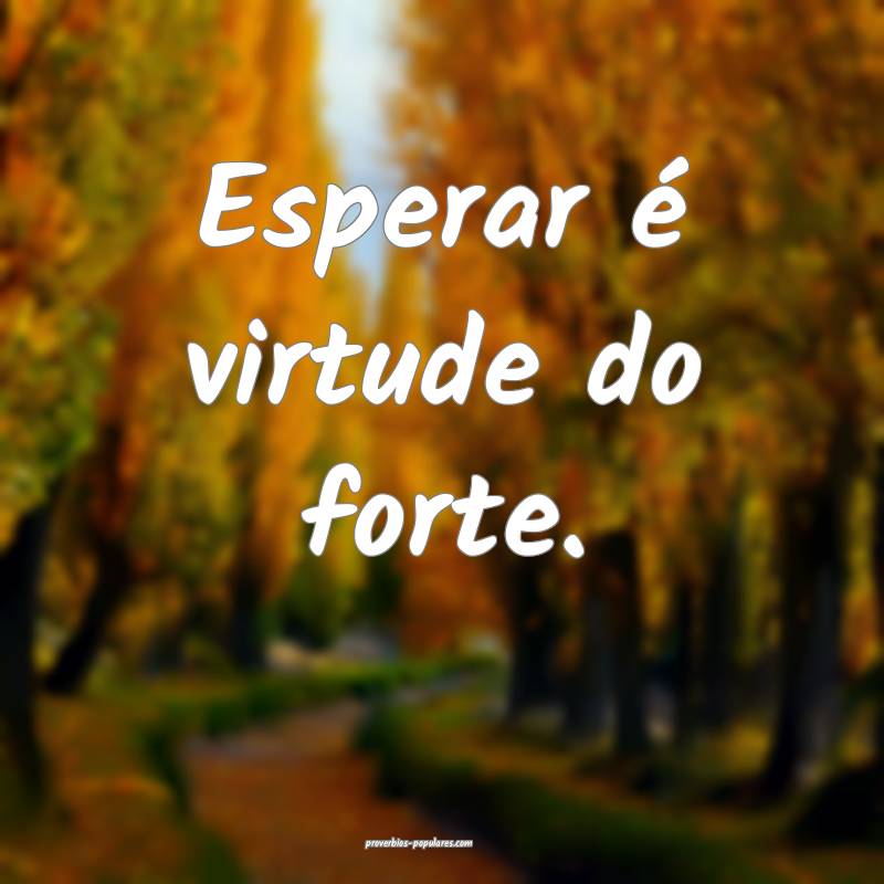 Esperar é virtude do forte.
...
