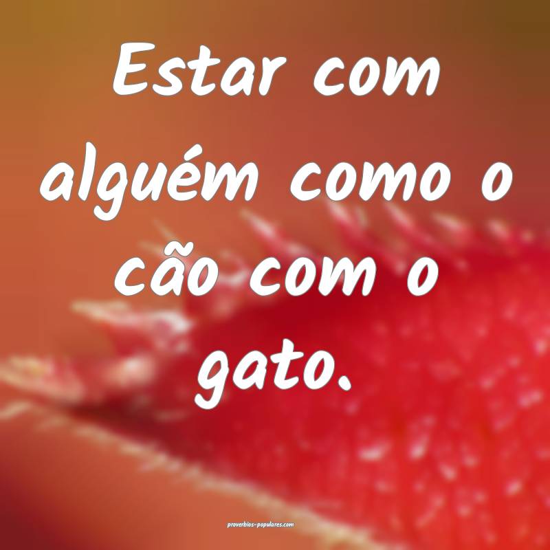 Estar com alguém como o cão com o gato.
 ...