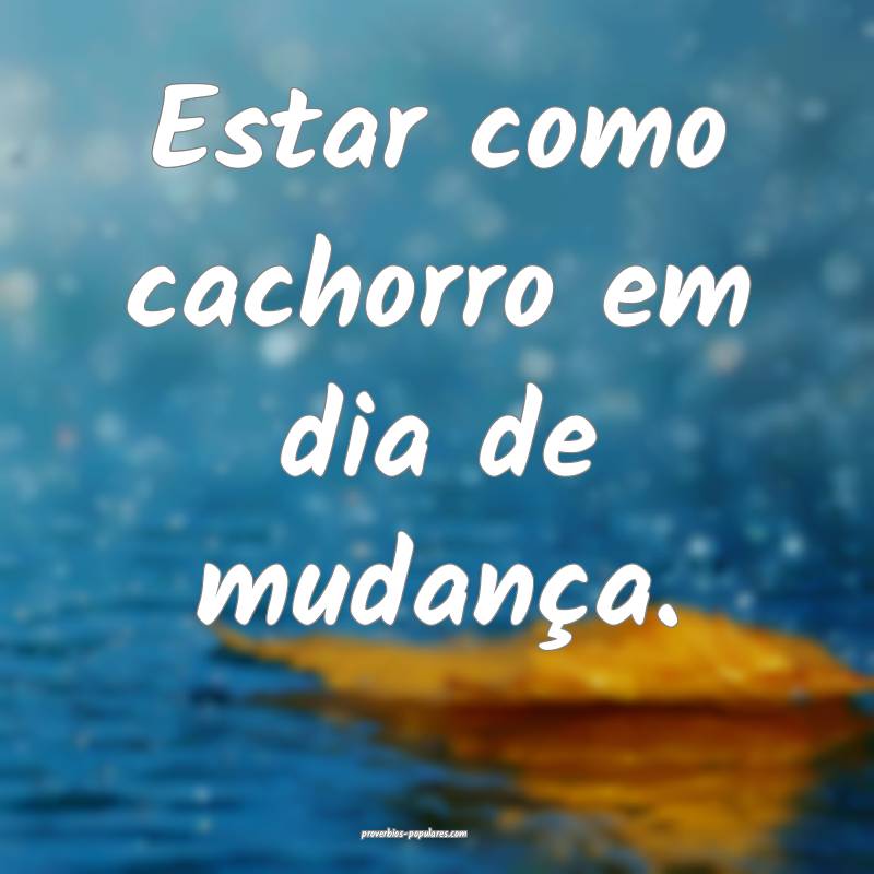 Estar como cachorro em dia de mudança.
...