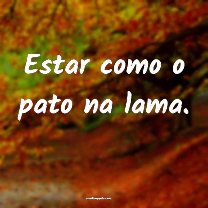 Estar como o pato na lama.
...