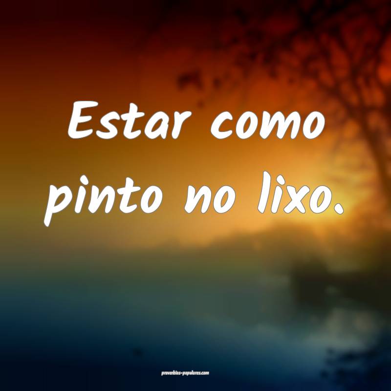 Estar como pinto no lixo.
...