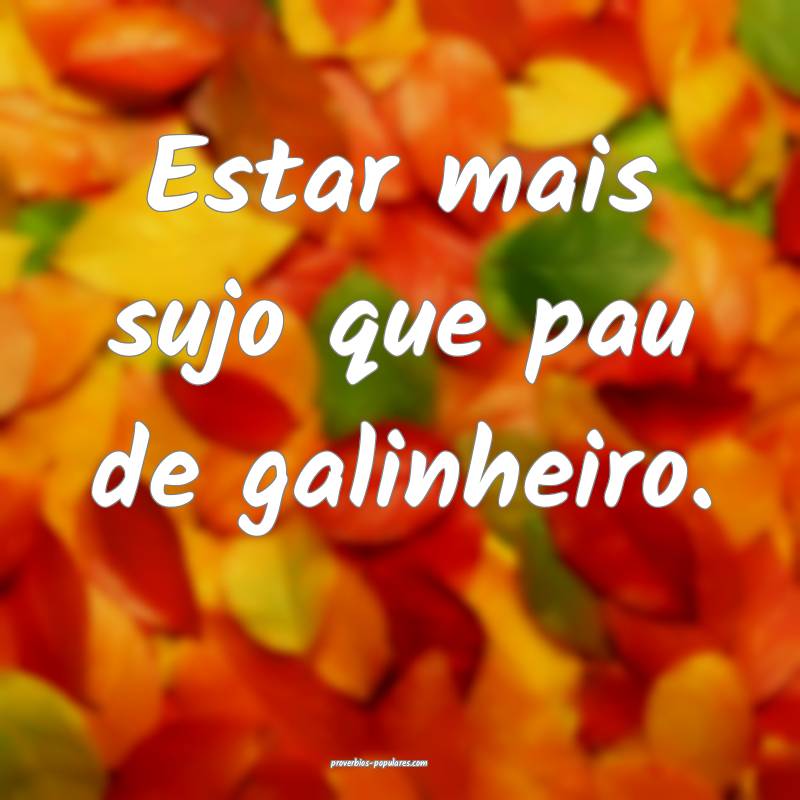 Estar mais sujo que pau de galinheiro.
...