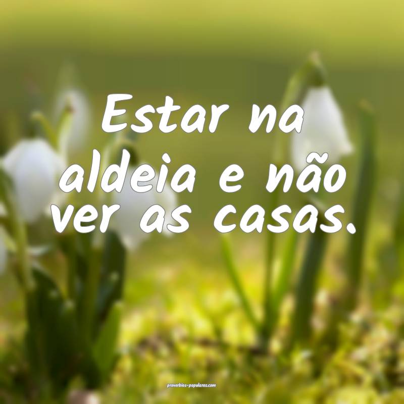 Estar na aldeia e não ver as casas.
...