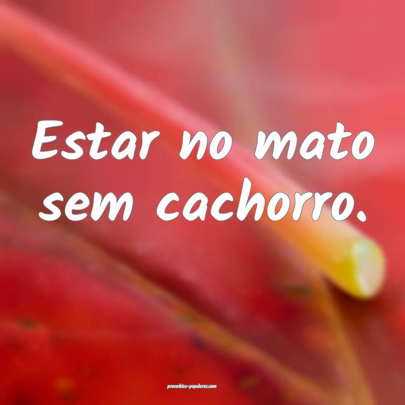 Estar no mato sem cachorro.
 ...