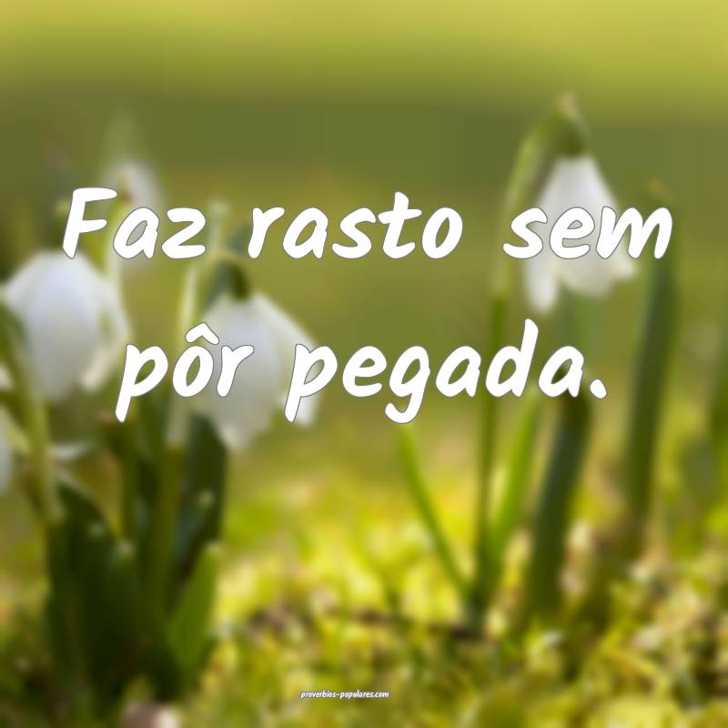 Faz rasto sem pôr pegada.
 ...