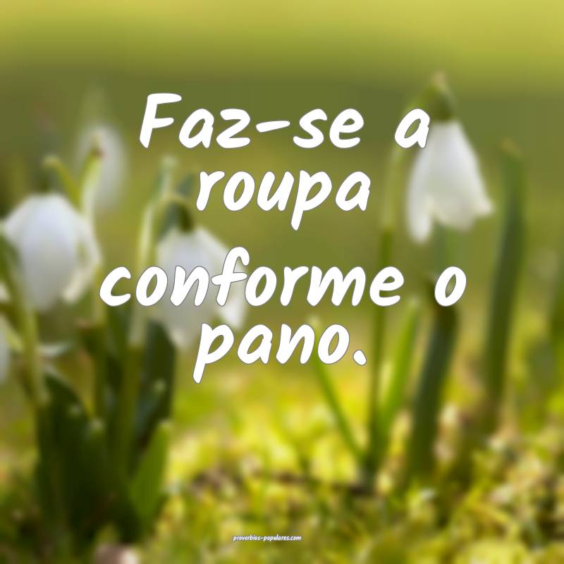 Faz-se a roupa conforme o pano.
...