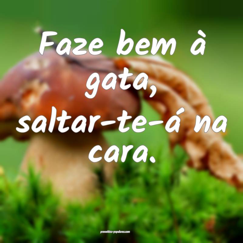 Faze bem à gata, saltar-te-á na cara.
...