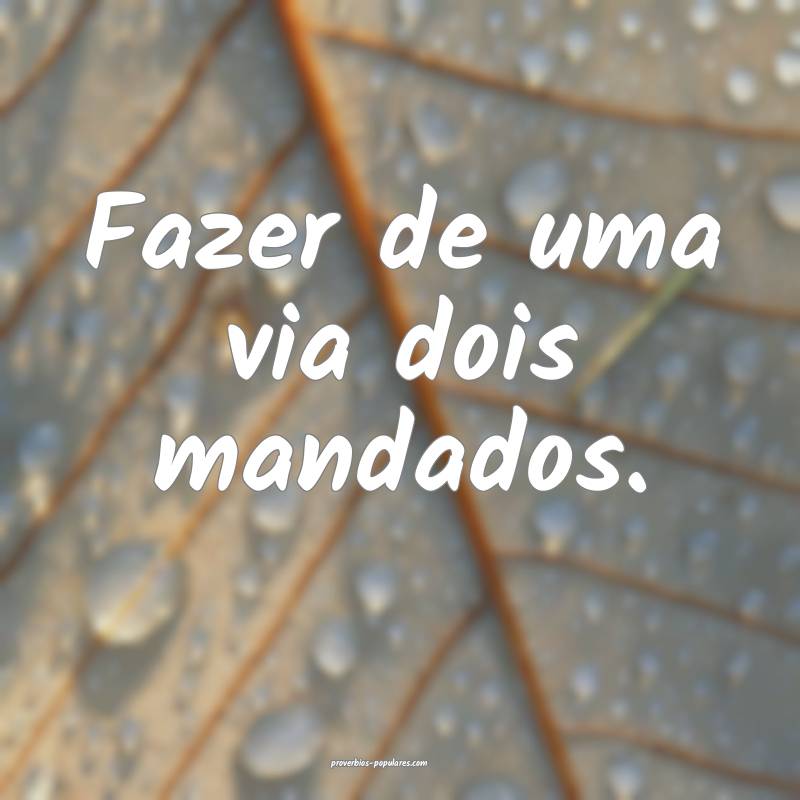 Fazer de uma via dois mandados.
...