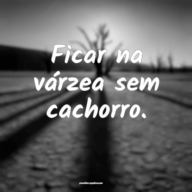 Ficar na várzea sem cachorro.
 ...