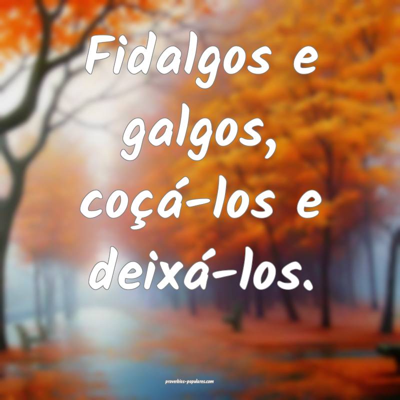 Fidalgos e galgos, coçá-los e deixá-los.
 ...