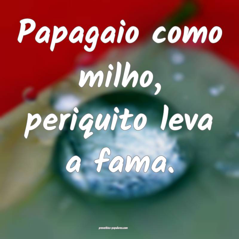 Papagaio como milho, periquito leva a fama. 
 ...