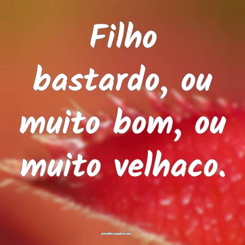 Filho bastardo, ou muito bom, ou muito velhaco.
...