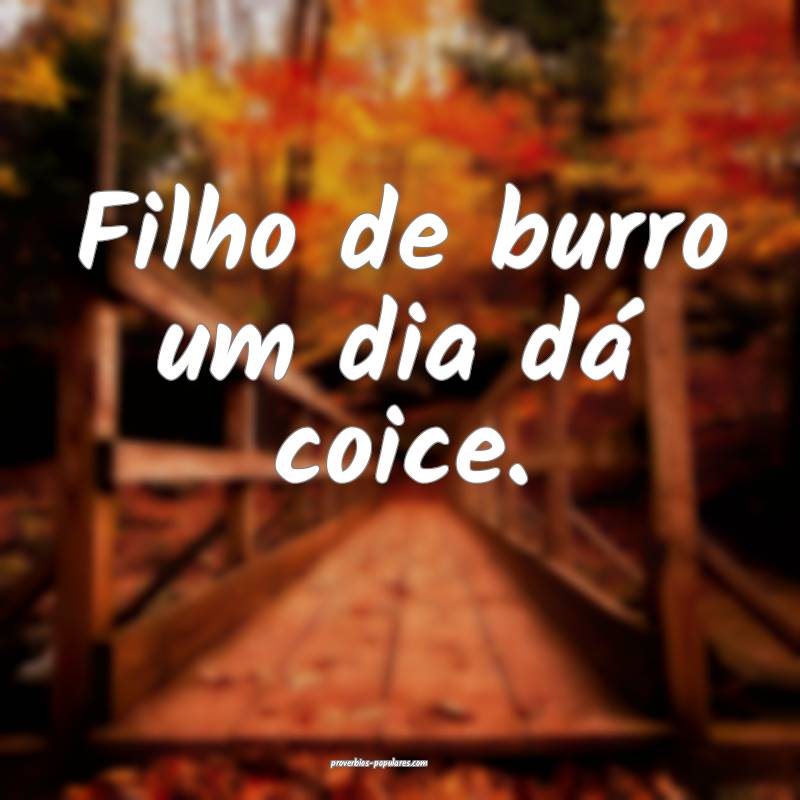 Filho de burro um dia dá coice.
...