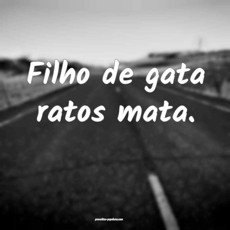 Filho de gata ratos mata.
...