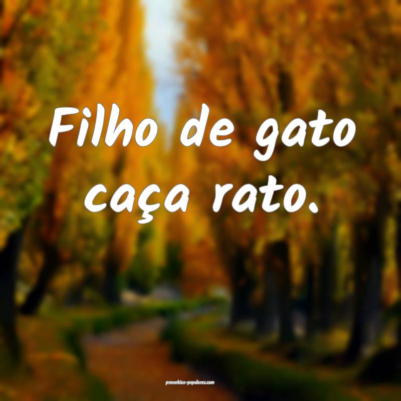 Filho de gato caça rato.
 ...