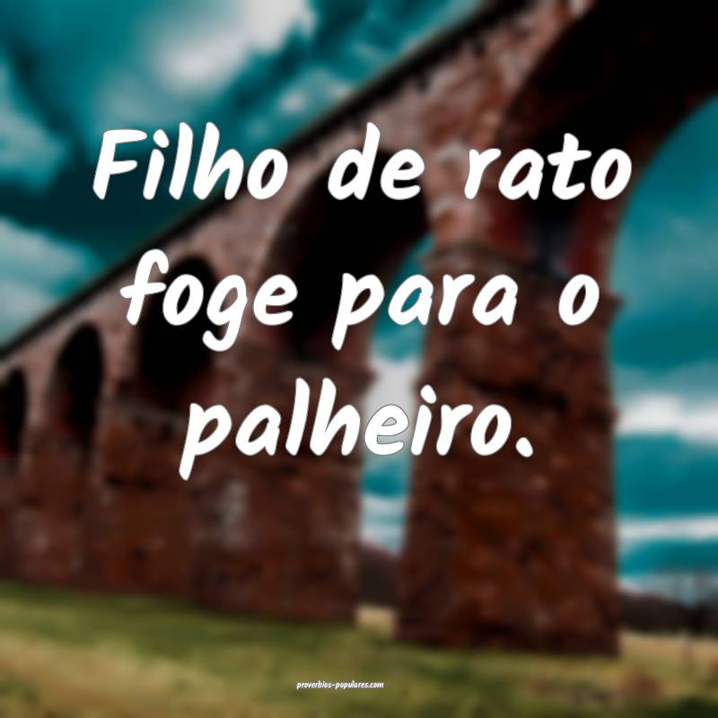 Filho de rato foge para o palheiro.
...