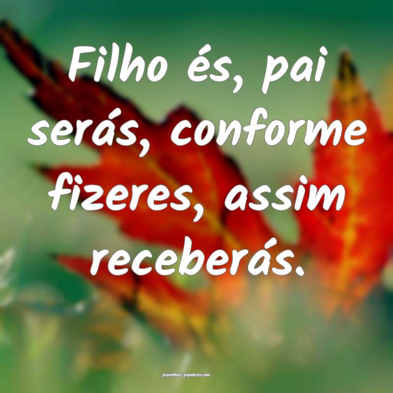 Filho és, pai serás, conforme fizeres, assim receberás.
...