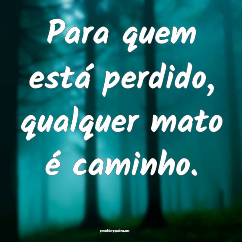 Para quem está perdido, qualquer mato é caminho. ...