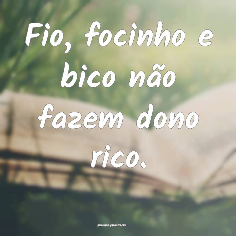 Fio, focinho e bico não fazem dono rico.
...