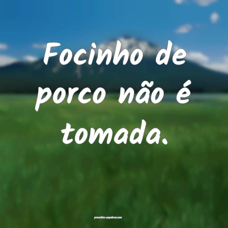 Focinho de porco não é tomada.
 ...