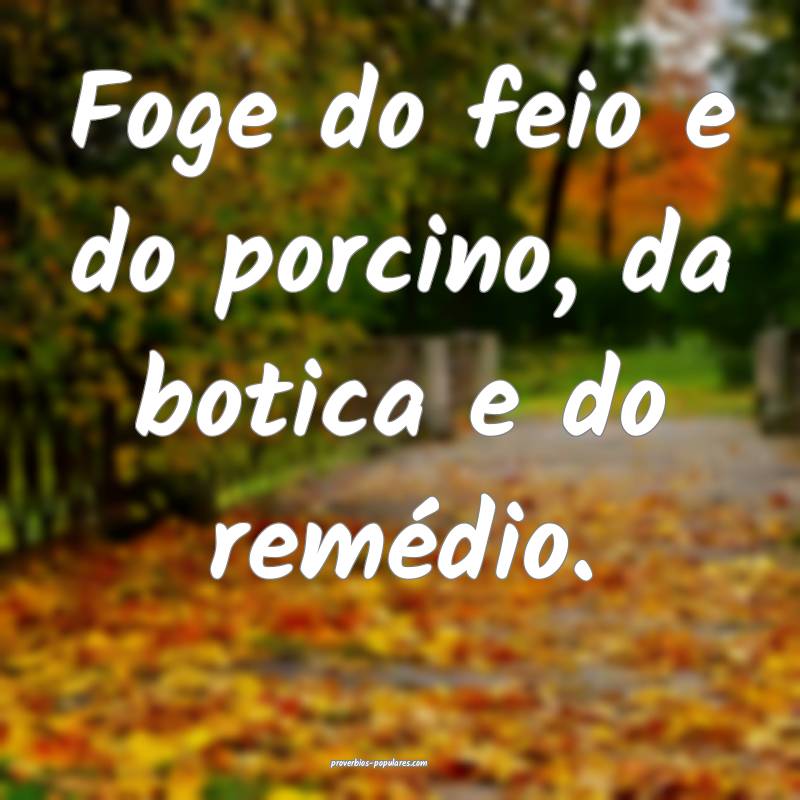 Foge do feio e do porcino, da botica e do remédio ...