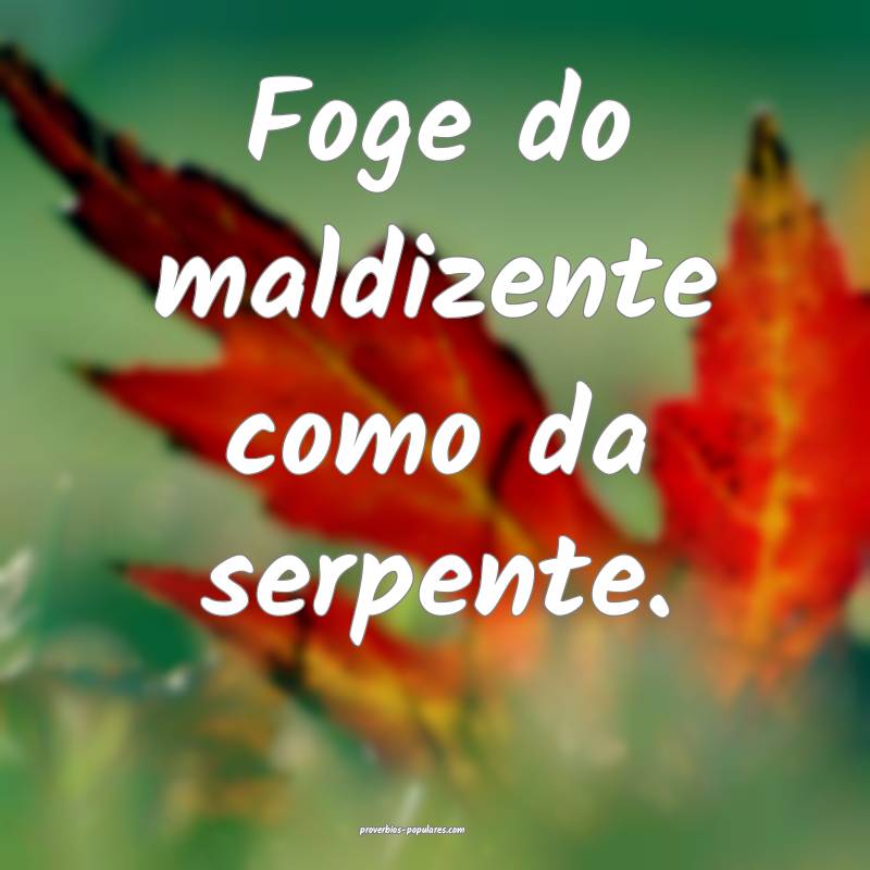 Foge do maldizente como da serpente.
 ...