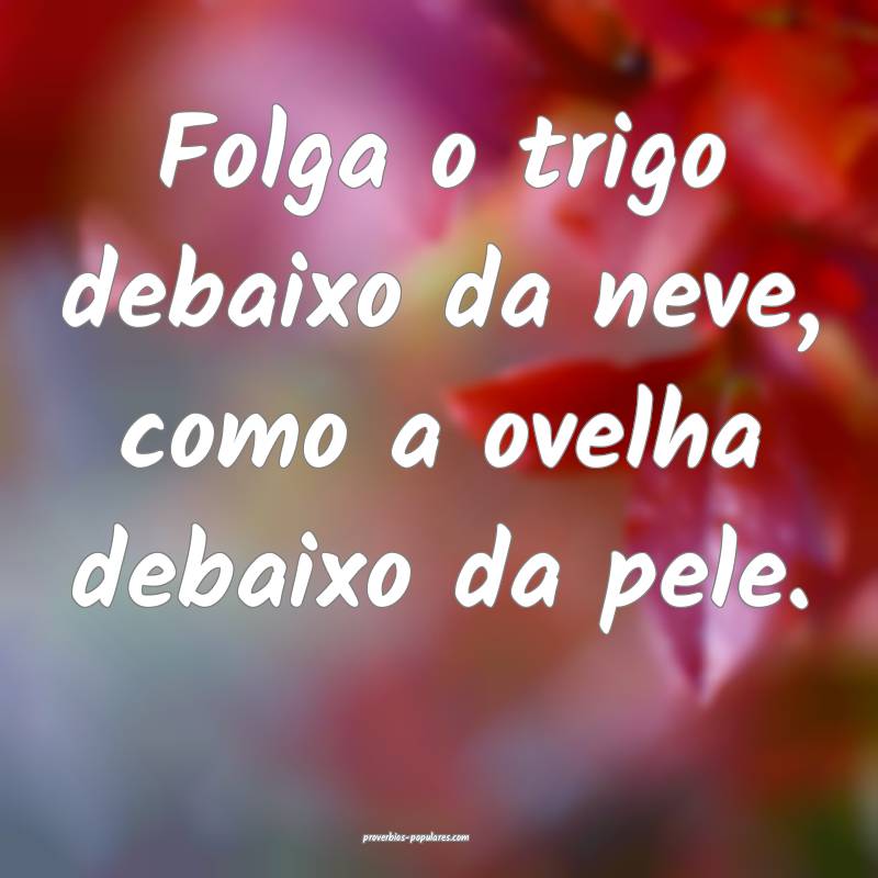 Folga o trigo debaixo da neve, como a ovelha debaixo da pele.
...