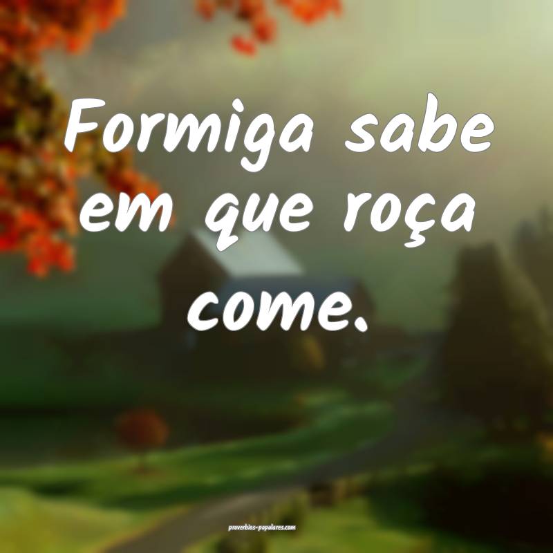 Formiga sabe em que roça come.
...