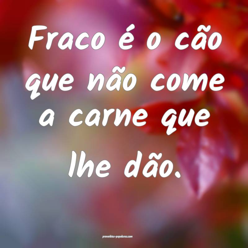 Fraco é o cão que não come a carne que lhe dão.
...