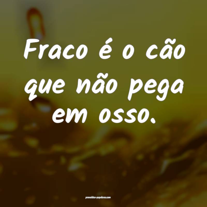 Fraco é o cão que não pega em osso.
...