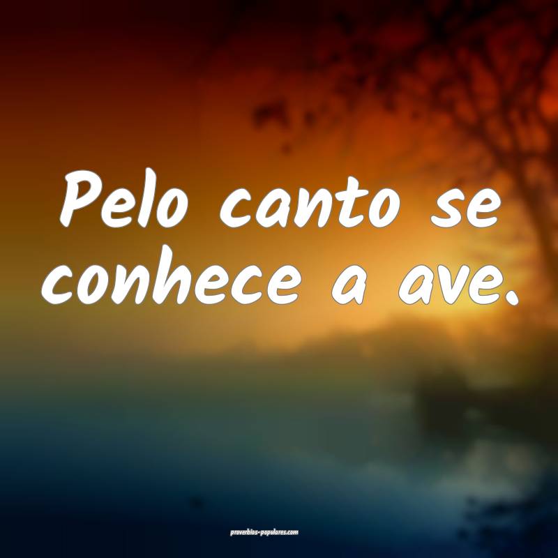 Pelo canto se conhece a ave. 
 ...