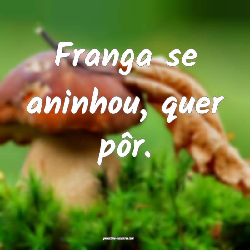 Franga se aninhou, quer pôr.
...