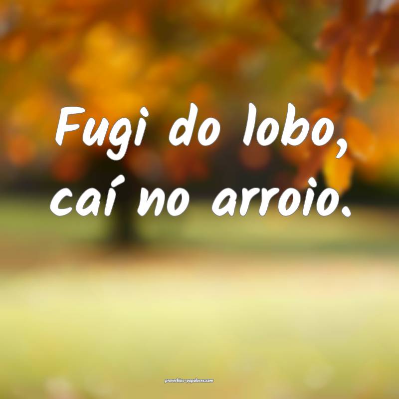 Fugi do lobo, caí no arroio.
...
