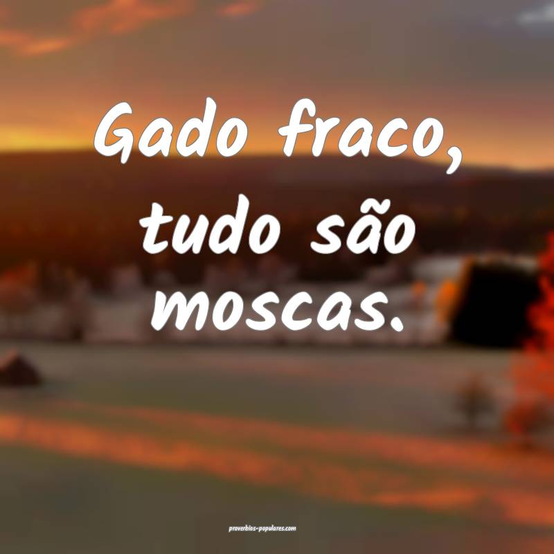 Gado fraco, tudo são moscas.
...